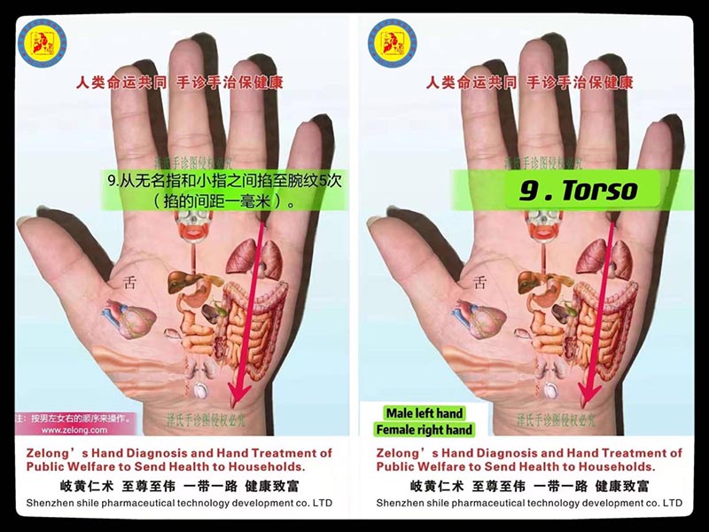 微信图片_009.jpg